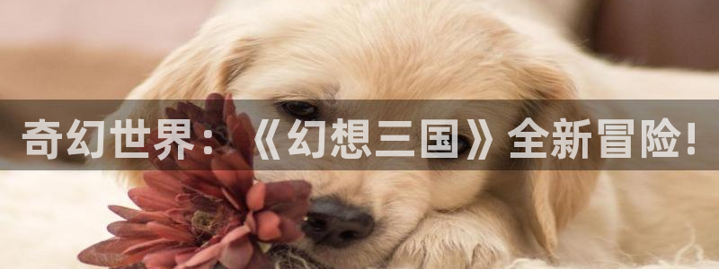 奇亿娱乐什么意思：奇幻世界：《幻想三国》全新冒险!