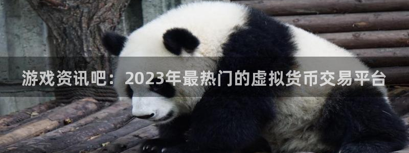 奇亿娱乐平台官网入口：游戏资讯吧：2023年最热门的虚拟货币