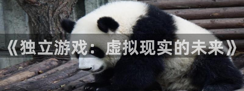 奇亿娱乐登录网址：《独立游戏：虚拟现实的未来》