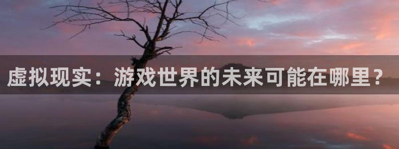 手机奇亿娱乐下载安装：虚拟现实：游戏世界的未来可能在哪里？