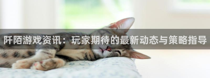 奇亿娱乐什么意思：阡陌游戏资讯：玩家期待的最新动态与策略指导