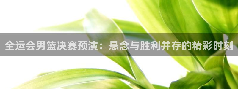 松鼠直播tv