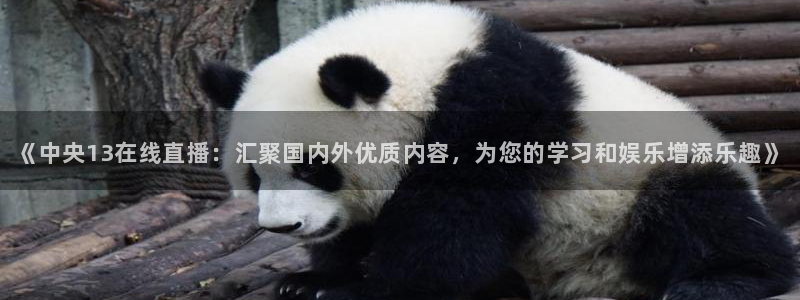 松鼠直播体育：《中央13在线直播：汇聚国内外优质内容，为您的学习和娱乐增添乐趣》