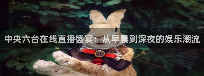 松鼠直播nba：中央六台在线直播盛宴：从早晨到深夜的娱乐潮流