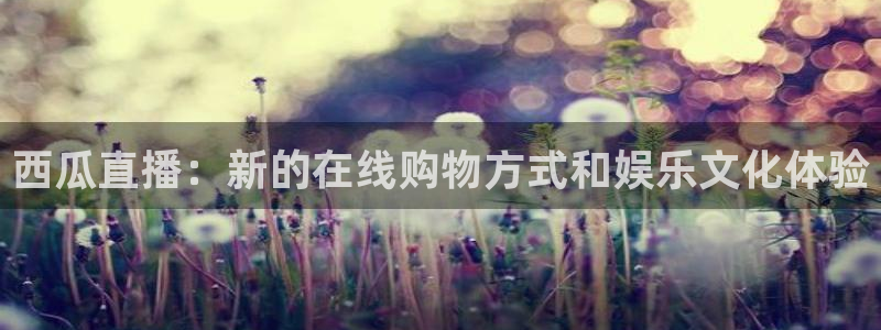 松鼠网官方下载：西瓜直播：新的在线购物方式和娱乐文化体验