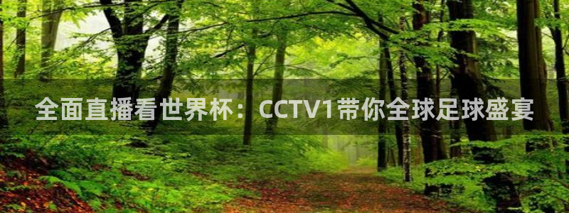 松鼠直播体育：全面直播看世界杯：CCTV1带你全球足球盛宴