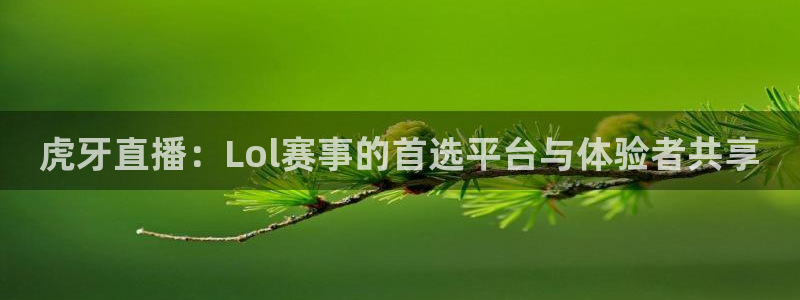 松鼠直播nba：虎牙直播：Lol赛事的首选平台与体验者共享