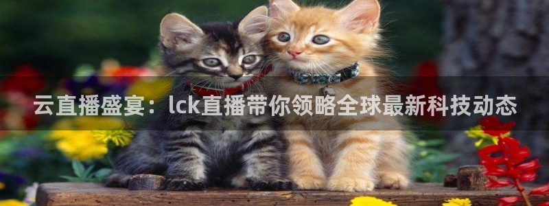 松鼠宝贝体育：云直播盛宴：lck直播带你领略全球最新科技动态