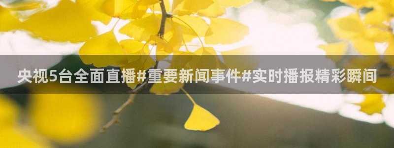 松鼠体育在线直播视频：央视5台全面直播#重要新闻事件#实时播报精彩瞬间